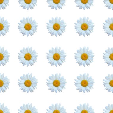 Papatya çiçekleri ve tasarım elementleriyle zarif, pürüzsüz bir desen. Davetiyeler için çiçek deseni, tebrik kartları, hatıra defteri, baskı, hediye paketi, imalat, tekstil 