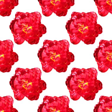 Çiçekli, tasarım elementli zarif, pürüzsüz bir desen. Davetiyeler için çiçek deseni, tebrik kartları, hatıra defteri, baskı, hediye paketi, imalat, tekstil 