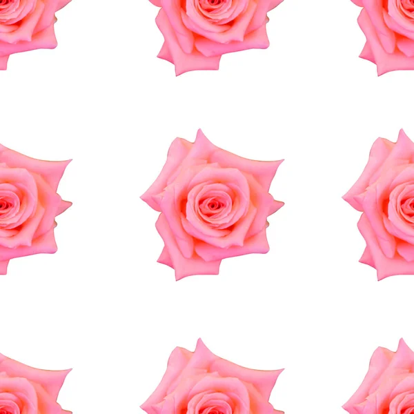 Elegant Seamless Pattern Pink Rose Flowers Design Elements Floral Pattern — Stock Photo, Image