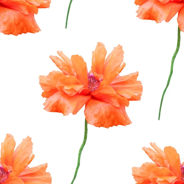 Elegantes Nahtloses Muster Mit Orangefarbenen Mohnblüten Designelemente Blumenmuster Für Einladungen — Stockfoto