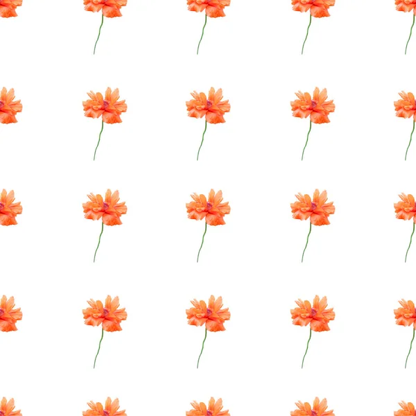 Elegant Seamless Pattern Orange Poppy Flowers Design Elements Floral Pattern — Stock Photo, Image