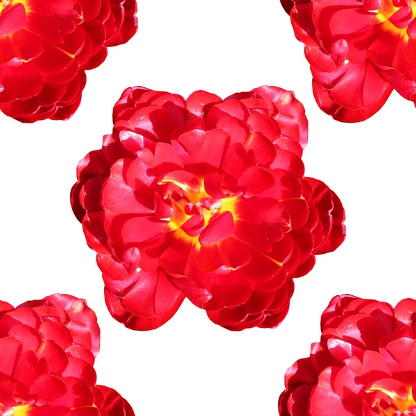 Elegant Naadloos Patroon Met Bloemen Design Elementen Bloemenpatroon Voor Uitnodigingen — Stockfoto