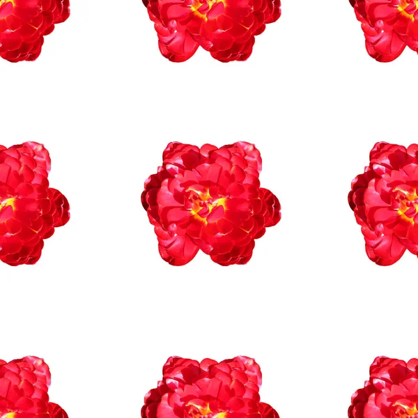 Çiçekli Tasarım Elementli Zarif Pürüzsüz Bir Desen Davetiyeler Için Çiçek — Stok fotoğraf