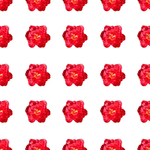 Elegáns Zökkenőmentes Minta Virágokkal Design Elemekkel Virágmintás Meghívók Üdvözlőlapok Scrapbooking — Stock Fotó