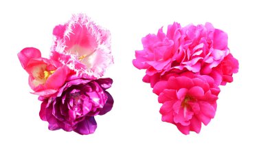 Beyaz arka planda izole edilmiş güzel lale ve gül çiçekleri. Doğal çiçek geçmişi var. Çiçek tasarım ögesi