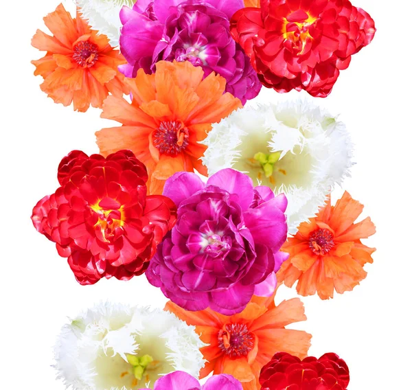 Κομψό Σχέδιο Χωρίς Ραφή Τουλίπα Και Παπαρούνα Λουλούδια Στοιχεία Σχεδιασμού — Φωτογραφία Αρχείου