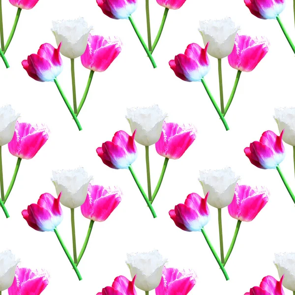 Elegant Seamless Pattern Flowers Design Elements Floral Pattern Invitations Greeting — Stock Photo, Image