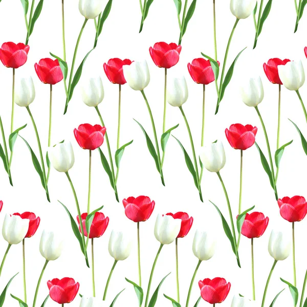 Elegant Seamless Pattern Flowers Design Elements Floral Pattern Invitations Greeting — Stock Photo, Image