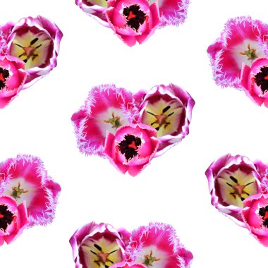 Lale çiçekleri ve tasarım elementleriyle zarif, pürüzsüz bir desen. Davetiyeler için çiçek deseni, tebrik kartları, hatıra defteri, baskı, hediye paketi, imalat, tekstil 