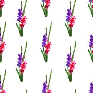 Gladiolus çiçekleri ve tasarım elementleriyle zarif, pürüzsüz bir desen. Davetiyeler için çiçek deseni, tebrik kartları, hatıra defteri, baskı, hediye paketi, imalat, tekstil 