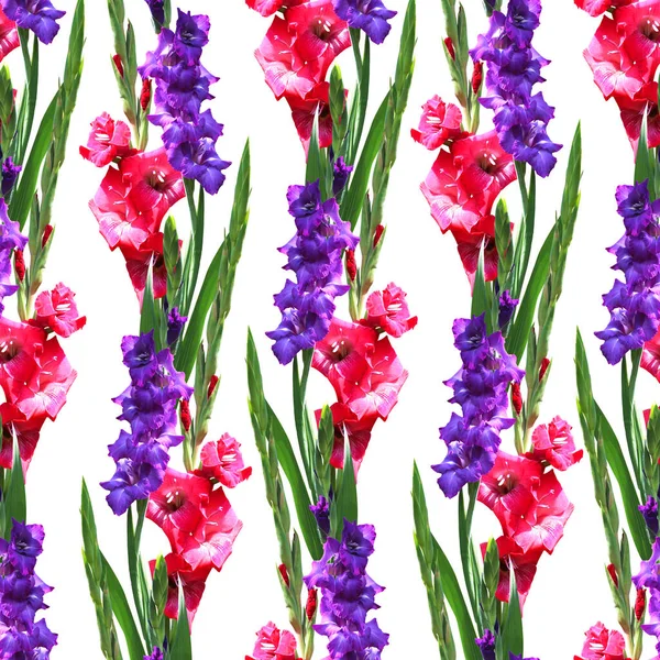 Elegantes Nahtloses Muster Mit Gladiolenblüten Designelementen Blumenmuster Für Einladungen Grußkarten — Stockfoto