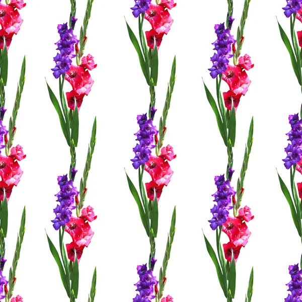 Elegantes Nahtloses Muster Mit Gladiolenblüten Designelementen Blumenmuster Für Einladungen Grußkarten — Stockfoto