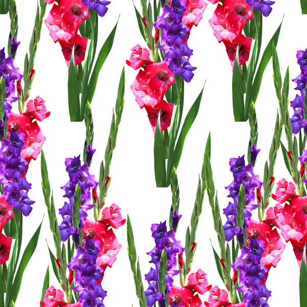 Elegant Sömlöst Mönster Med Gladiolus Blommor Designelement Blommönster För Inbjudningar — Stockfoto