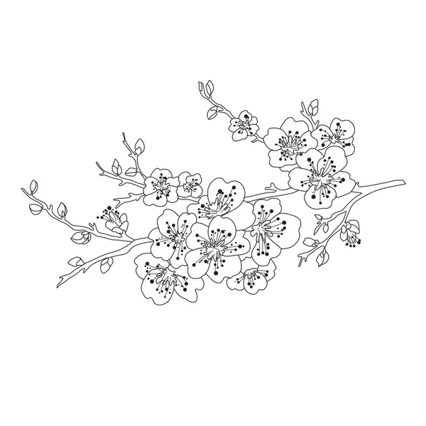 装飾的な手の桜の花 デザイン要素を描いた カード 招待状 バナー ポスター 印刷デザインに使用できます ラインアートスタイルの花の背景 — ストックベクタ