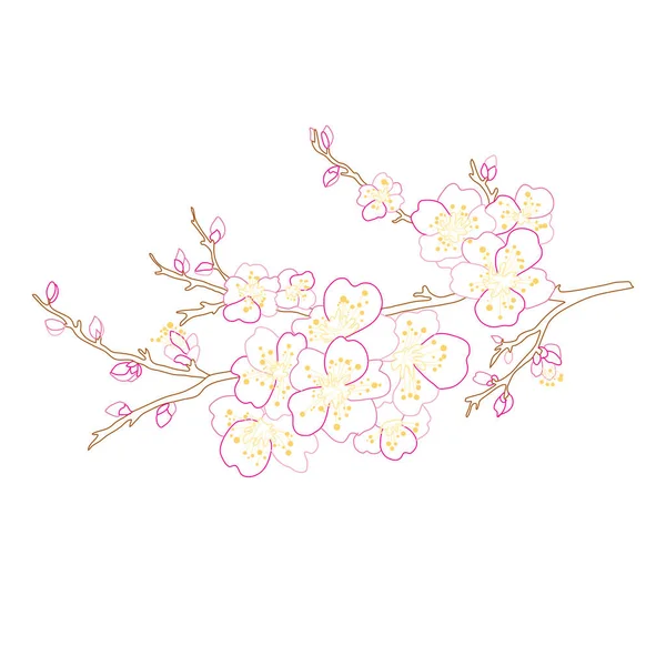 Decorativo Dibujado Mano Flores Flor Cerezo Sakura Elementos Diseño Puede — Vector de stock