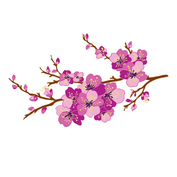 Fleurs Fleurs Cerisier Sakura Dessinées Main Décoratives Éléments Design Peut — Image vectorielle