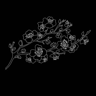 Elle çizilmiş çiçek dekorasyon