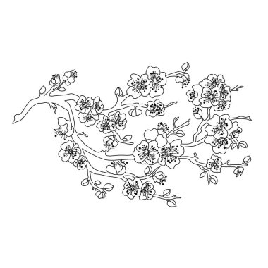 Elle çizilmiş çiçek dekorasyon