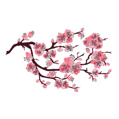 Dekoratif el çizimi kiraz çiçekleri, tasarım elementleri. Kartlar, davetiyeler, afişler, posterler, baskı tasarımı için kullanılabilir. Sanat tarzında çiçek arkaplanı