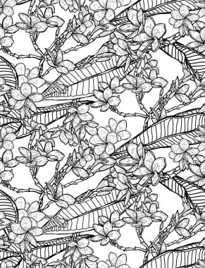 Plumeria çiçekleri ve tasarım elementleriyle zarif, pürüzsüz bir desen. Davetiyeler, kartlar, baskı, hediye paketi, imalat, tekstil, kumaş, duvar kağıtları için çiçek deseni