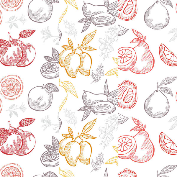 Элегантный бесшовный узор с манго, грейпфрутом и помело, элементы дизайна. Фруктовый узор для открыток, печати, подарочной упаковки, производства, текстиля, ткани, обоев. Продукты питания, европейская тема