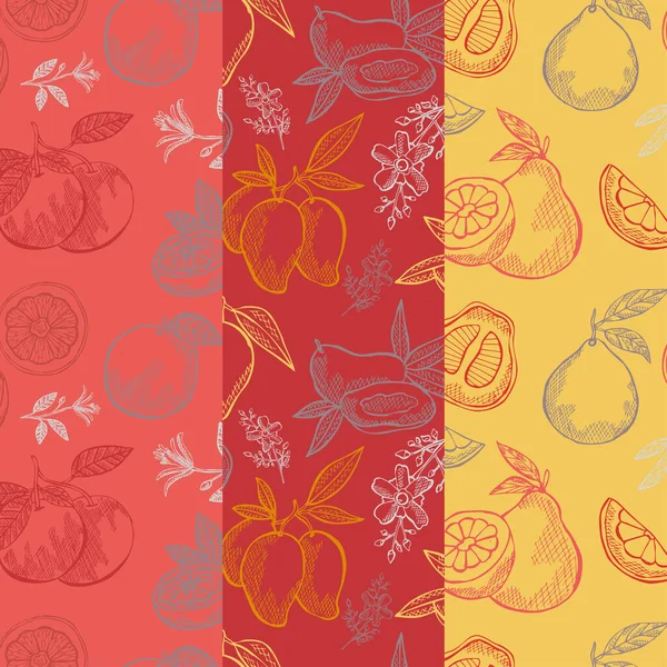 Elegantes Nahtloses Muster Mit Mango Grapefruit Und Pomelo Designelementen Fruchtmuster — Stockvektor
