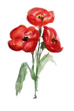 Suluboya çiçekleri