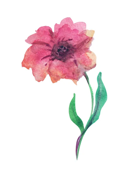 Watercolor flower — Stock Photo, Image