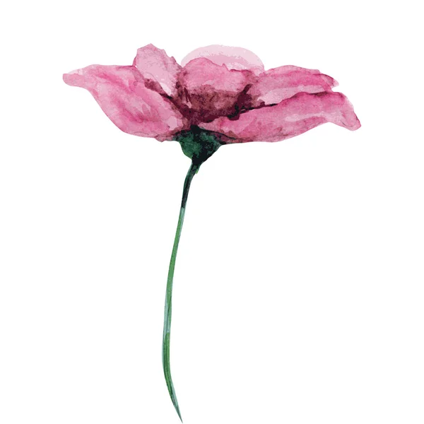 Watercolor flower — Stock Vector