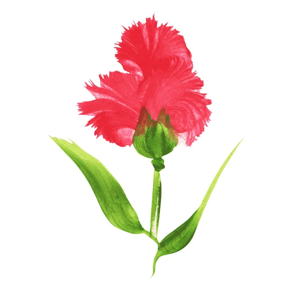 Watercolor flower — Stock Vector