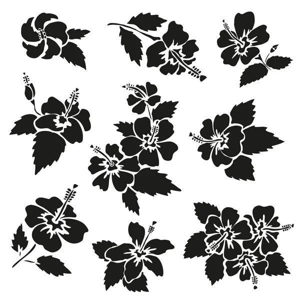 Цветы гибискуса — стоковый вектор