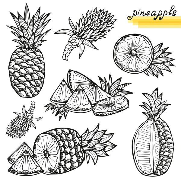 Ananas set — Vettoriale Stock
