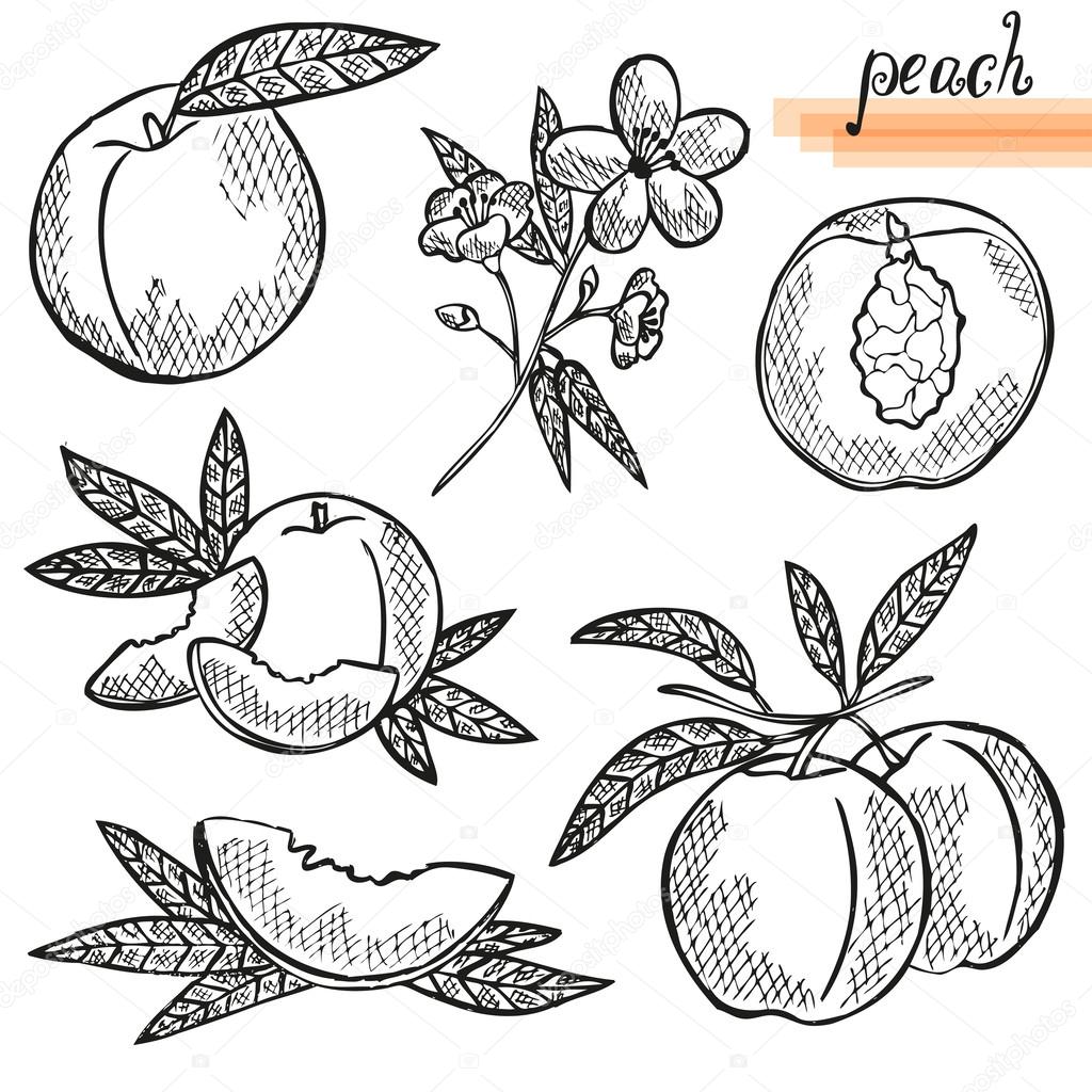 peach fruits set