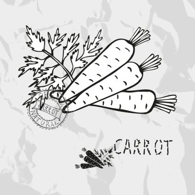 çizilmiş havuç ver