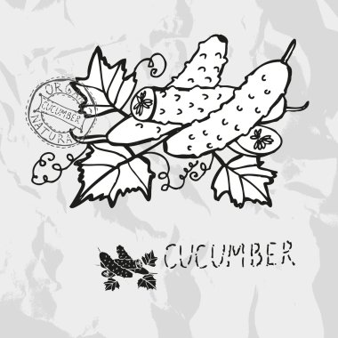 elle çizilmiş salatalık