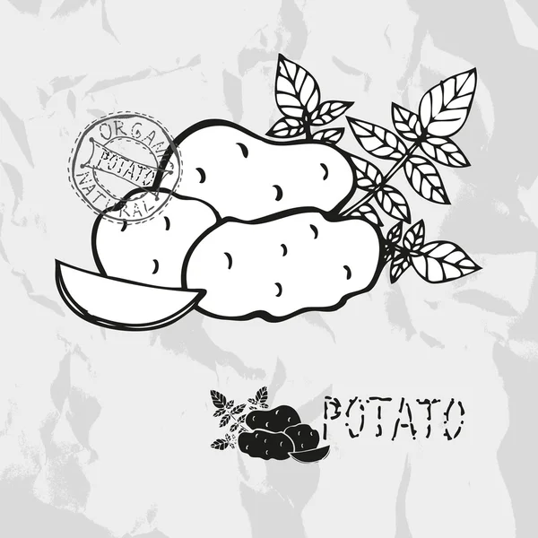 Batatas desenhadas à mão — Vetor de Stock