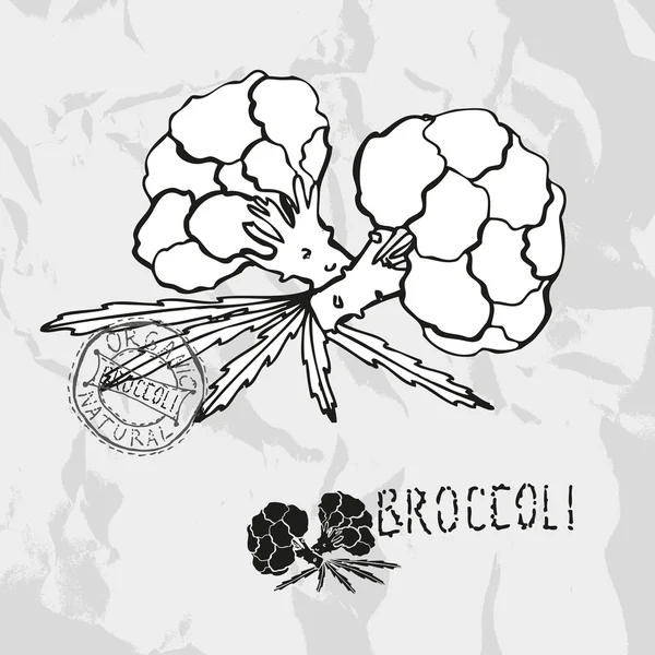 Brócolos desenhados à mão — Vetor de Stock