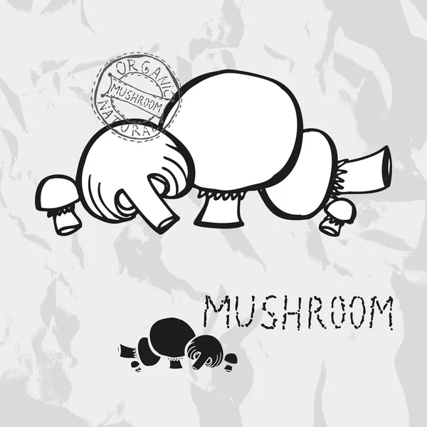 Champignons dessinés à la main — Image vectorielle