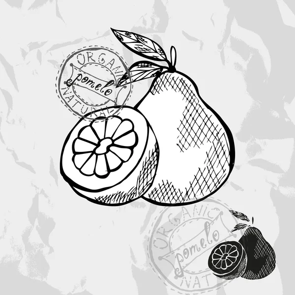 Боку звернено фрукти — стоковий вектор