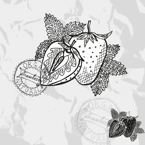 Frutas dibujadas a mano — Vector de stock