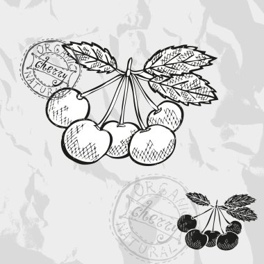 El yapımı meyveler