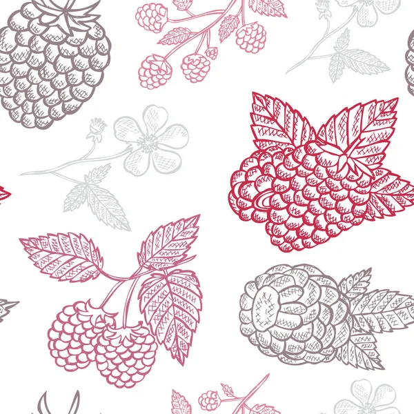Seamless raspberry pattern. Cute hand drawing raspberry background ...