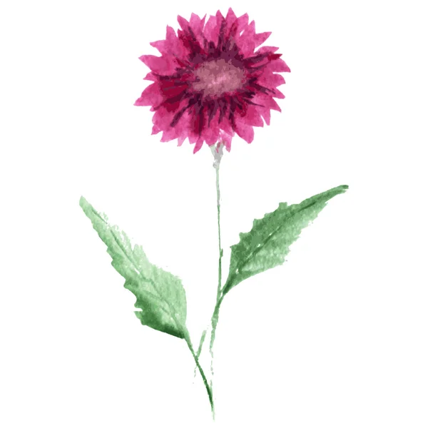 Aquarelbloem — Stockvector