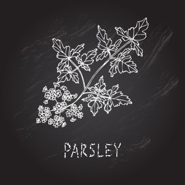 çizilmiş baharat el