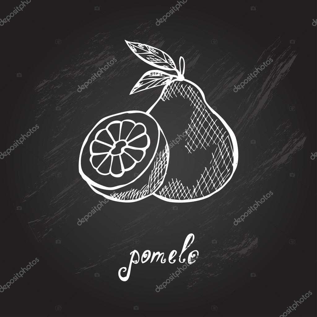 Hand drawn fruits Stock Vector Image by ©Chantall 71491901