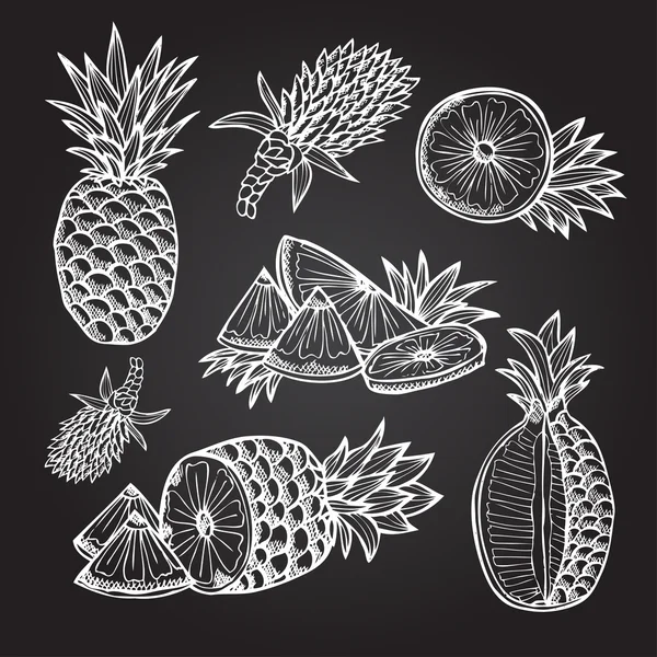 Hand drawn fruits — Stock Vector