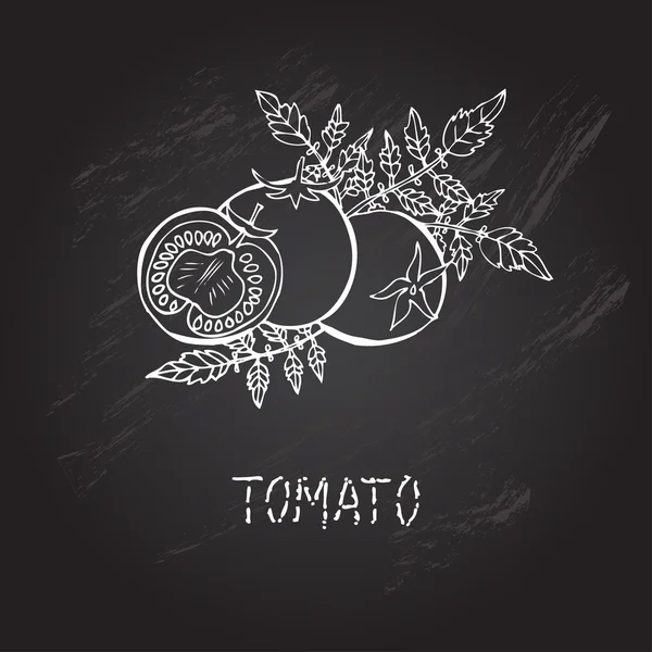 Tomates desenhados à mão — Vetor de Stock