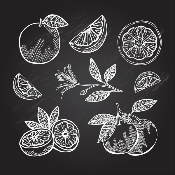 Hand drawn grapefruits — Stock Vector