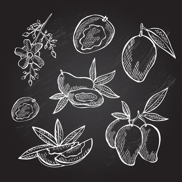 Fruits de mangue dessinés à la main — Image vectorielle