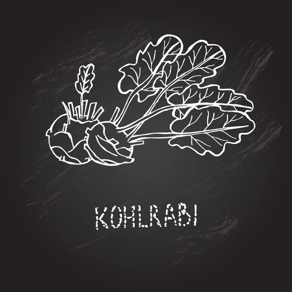 Kohlrabi desenhado à mão — Vetor de Stock